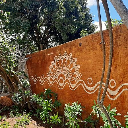 Pousada Paralelo 14 Alto Paraíso de Goiás Kültér fotó