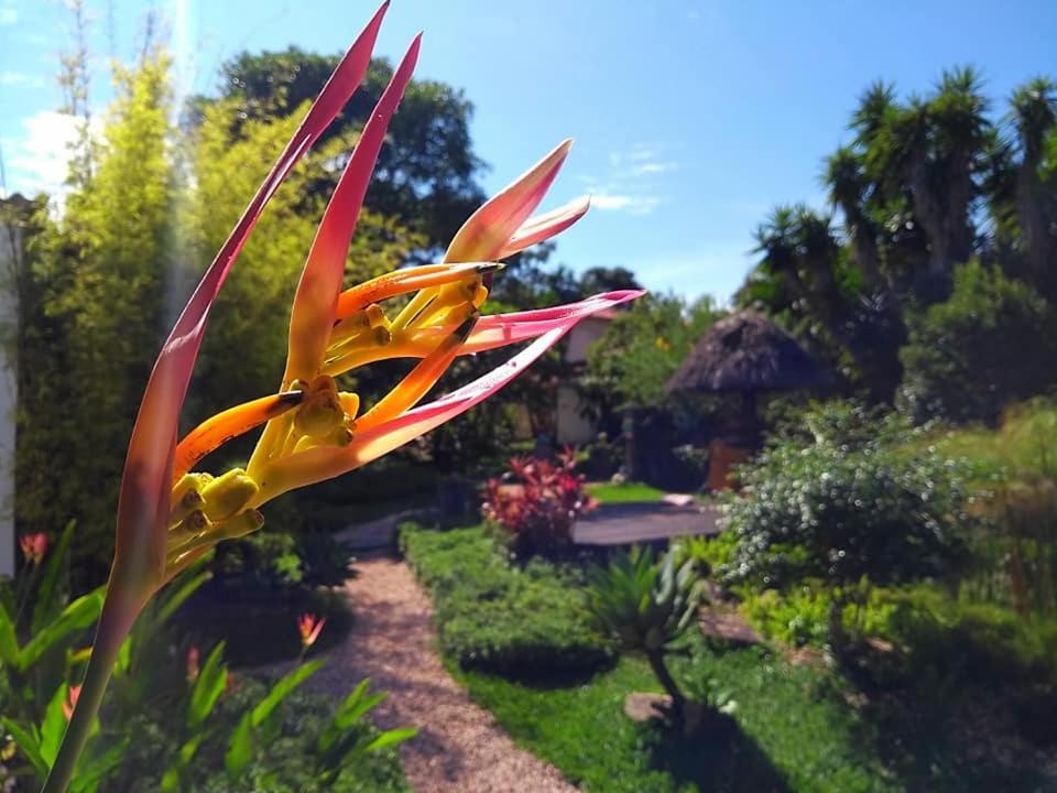 Pousada Paralelo 14 Alto Paraíso de Goiás Kültér fotó